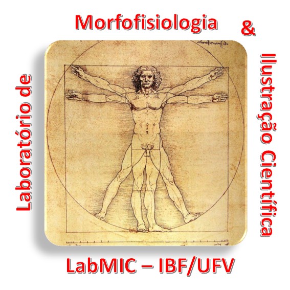 Logo UFV 100 anos
